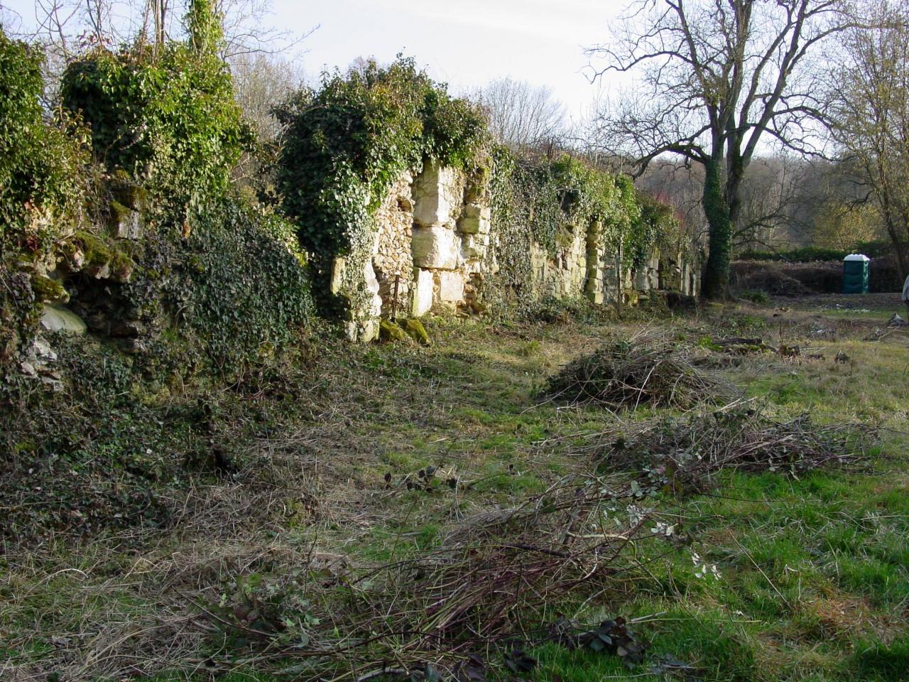 Défrichement des ruines du mur d'Abbecourt