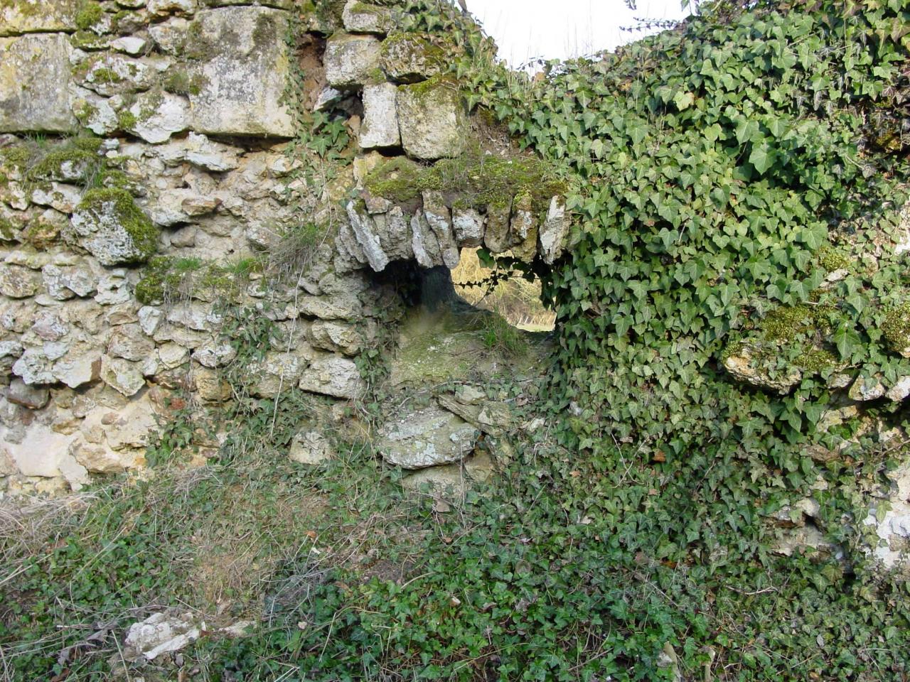 Ruines du mur d'Abbecourt
